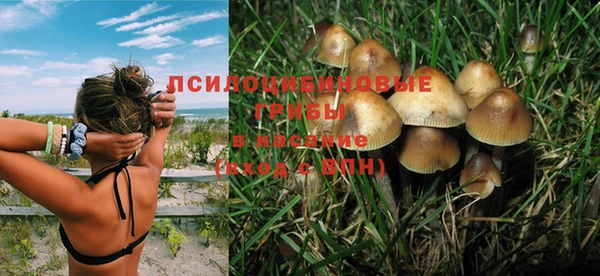 молекула духа Дмитров