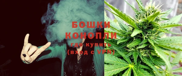 дурь Алексеевка