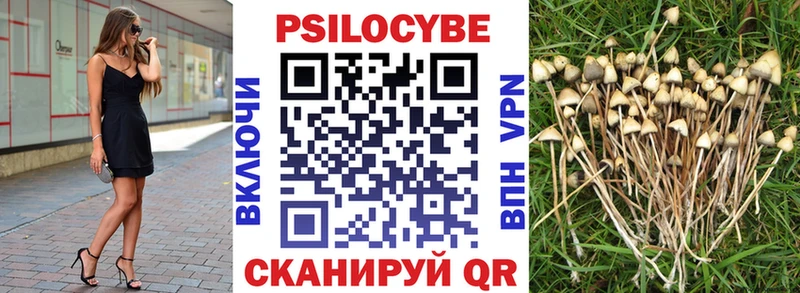 Псилоцибиновые грибы MAGIC MUSHROOMS  omg маркетплейс  Новоаннинский 